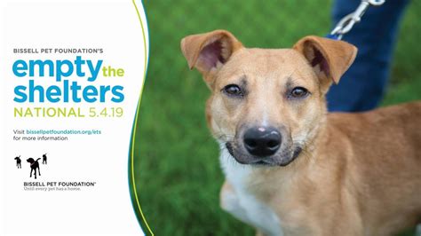 Antioch animal shelter - 23.4 miles. VEG is the emergency vet you can rely on to be there for you and your pet when you need it most. Serving nearby locations including Lake Geneva, Kenosha, Pleasant Prairie, Racine, Oak Creek, and more! read …